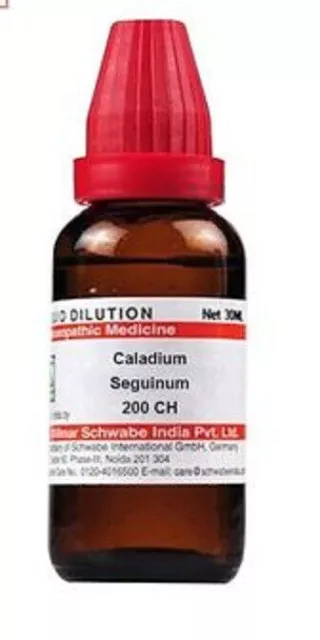 @Dr Willmar Schwabe Caladium Seguinum 200 CH Homeopathy Medicines 30ml