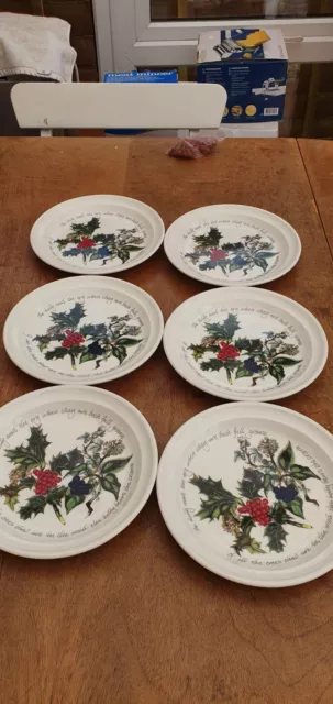 PORTMEIRION, THE HOLLY & THE IVY  X 6  SALAD / LARGE SIDE PLATES,  19cm