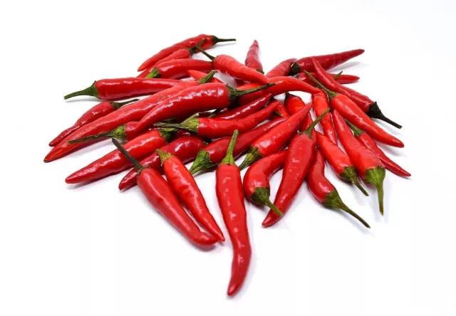 30 Semi Tai Thai Dragon Rosso Peperoncino Tailandese Peperoncino Piccante