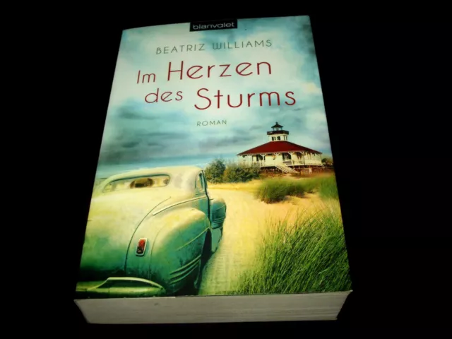 Beatriz Williams - Im Herzen des Sturms