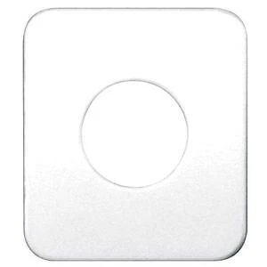 Freightliner Chrome Plain Switch Plate