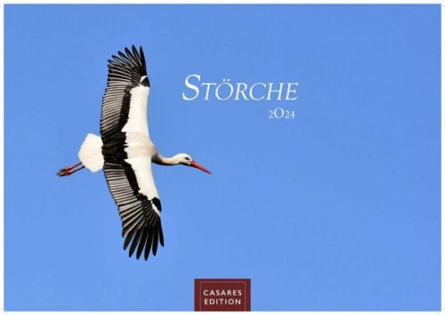Störche 2024 S 24x35cm|Kalender