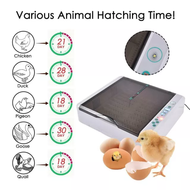 Egg Incubator Automatic Digital Turning Chicken Poultry 36-120 Eggs Hatcher LED 2