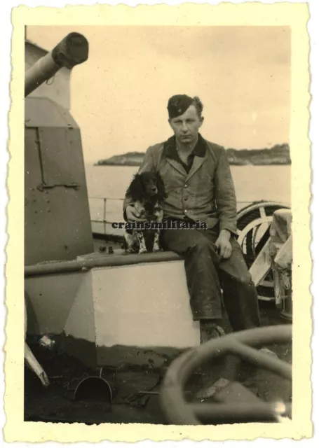 Orig. Foto Cocker Spaniel Bordhund der Minensuchboot M-24 Schiff Frankreich Hund