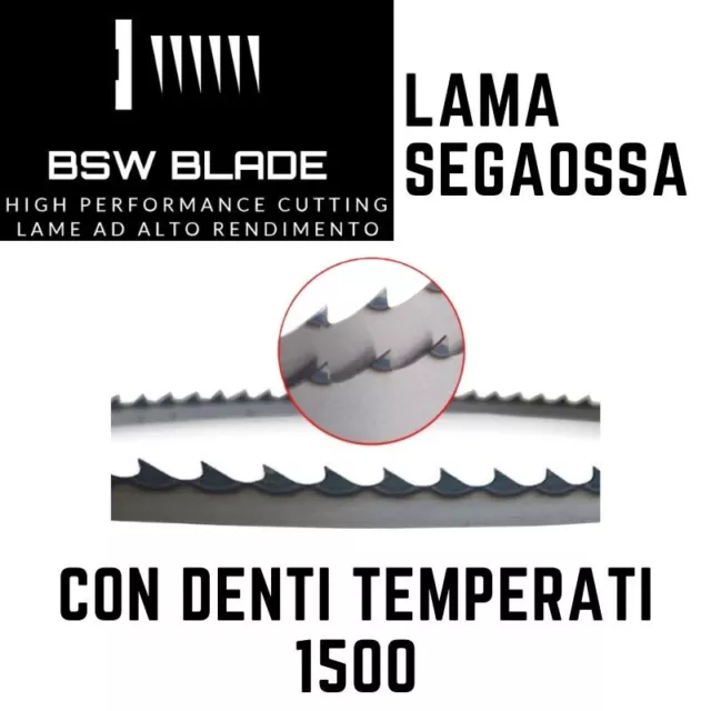 Lama a nastro 1500 inox segaossi