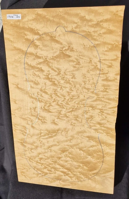 Tonewood Bird's eye Bosnian Maple VIOLA one piece back 007