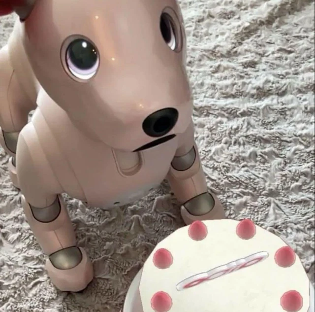 Aibo Ers 1000 Pies Aibo Aibo Robot Dog Polska