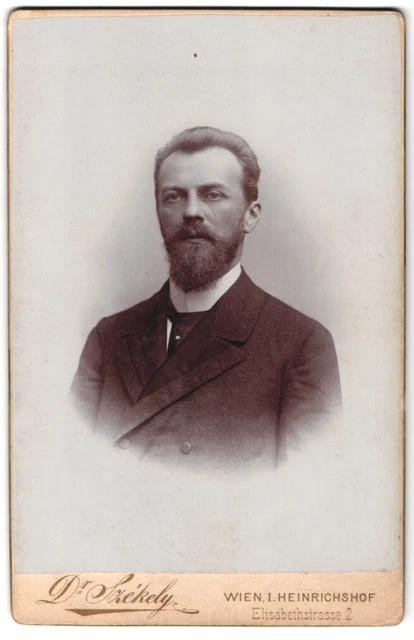 Fotografie Dr. Szekely, Wien-Heinrichshof, Elisabethstraße 2, Herr mit Vollbart