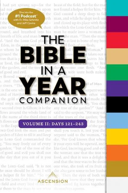 Bible in a Year Companion, Vol 2: Days 121-243 by Mike Schmitz (English) Paperba