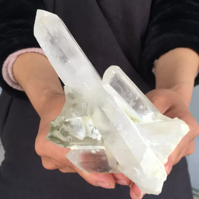 488G Natural White crystal Clear Quartz Cluster Crystal Specimen mineral  F302