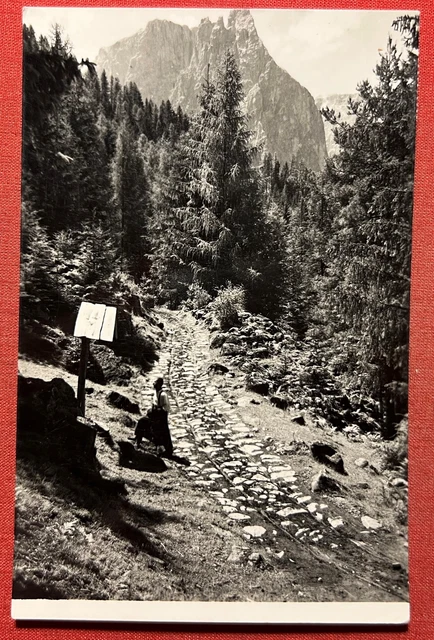 Cartolina - Siusi - Seis am Sciliar - 1953