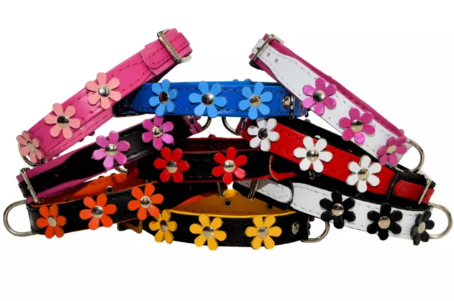 Véritable Souple Cuir Chien Chiot Collier Marguerite Fleur Créateur Couleur 2