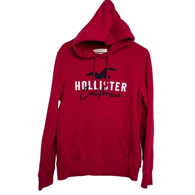 Embroidered logo hoodie hollister online