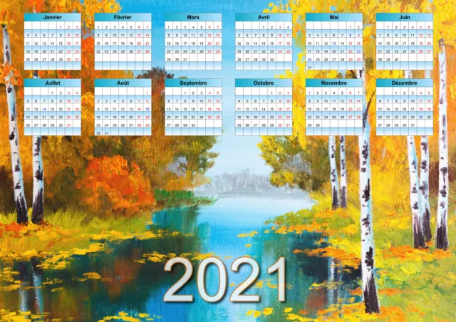 calendrier 2024 zen paysage roseaux affiche plastifiée 30 x 40 cm