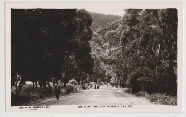 VICTORIA - ROAD THROUGH TO HALL'S GAP real-photo Rose Series postcard unused