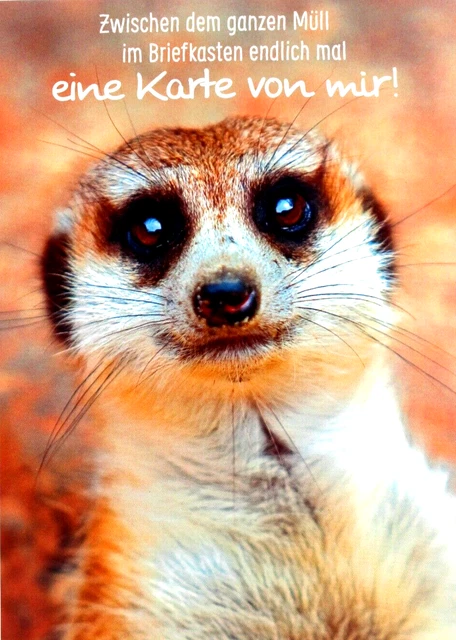 POSTKARTE GLÜCKWUNSCHKARTE GRUSSKARTE Geburtstag lustig Spruch Karte