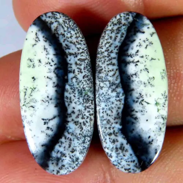 19.10Cts.100%Natural Designer Dendrite Opal Oval Pair Cab 11x24x4mm Top Gemstone
