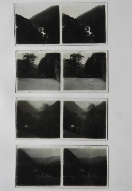 ITALIE SIENNE CATHÉDRALE Eglise, Photo Stereo Plaque Verre ca 1910 EUR