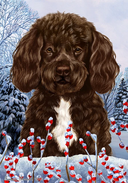 Winter Garden Flag - Bearded Brown and White Portuguese Water Dog 159131