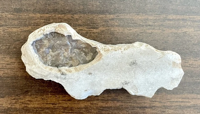 Texas Buffalo Scraper