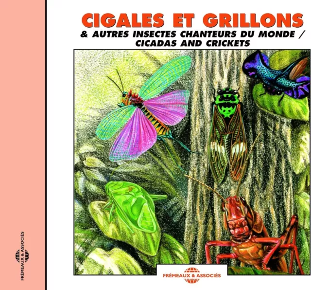 Sounds of Nature Cicadas and Crickets