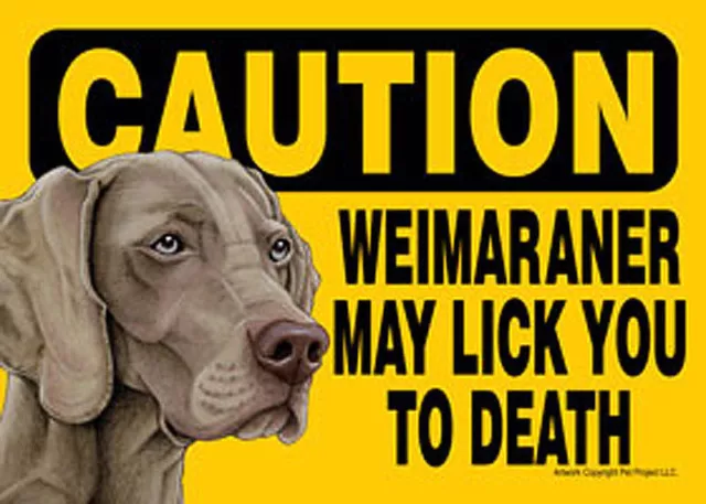 Weimaraner Dog Sign Wall Plaque Magnet Hook & Loop Fastener 5x7 - Caution Lic...