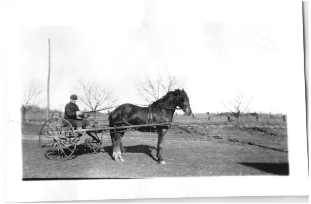 IN HORSE CARRIAGE,ROCHESTER,NY,1920'S.VTG 4.7" x 3" PHOTO*X1/2