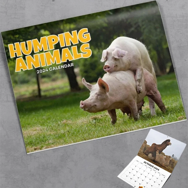 2024 HILARIOUS HUMPING Animals Calendar Animal Mating 12 Monthly Wall