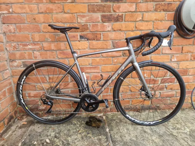 Giant contend 2025 sl for sale