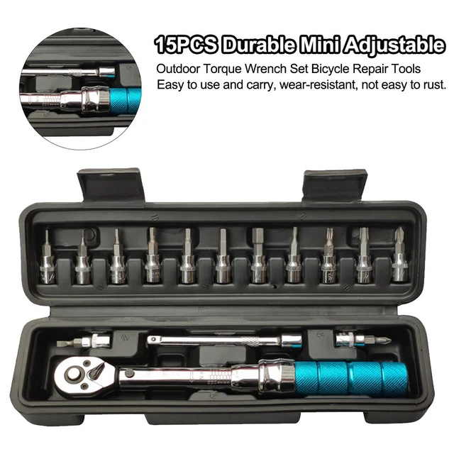 BICYCLE BIKE TORQUE Wrench Allen Key Tool Socket Set Kit EUR 48,67 ...
