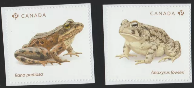 Canada 2024 ; Frog ;  Pair from Booklet (P) ;  MINT NH VF