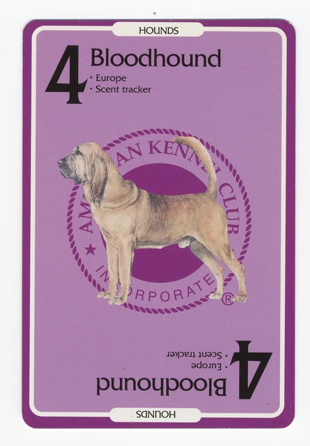 Bloodhound American Kennel Club Dog Collectable Trading Card