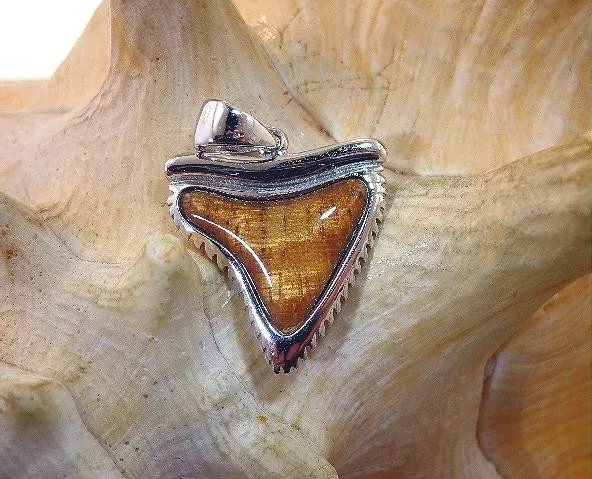 21Mm 925 Silver Genuine Inlaid Curly Koa Wood Hawaiian Tiger Shark Tooth Pendant