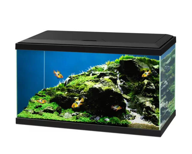 **BRAND NEW** Fish Tank Aquarium & Optional Stand: Heater, Filter & More Include 12