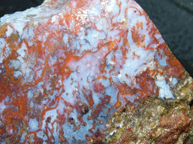 large Plume Filament Agate lapidary cabbing rough chunk San Carlos Mexico 11lb15