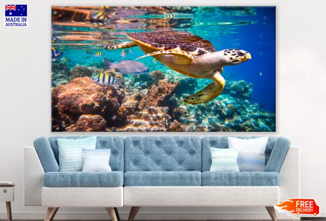 Sea Turtle in Beach Photograph Wall Canvas Home Decor Australian Made Quality