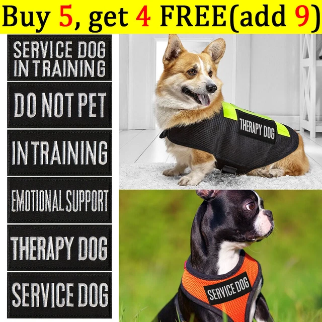 "SERVICE DOG IN TRAINING" 3D Rubber PVC Patch - Hook & Loop For Harness, Collar, Vest