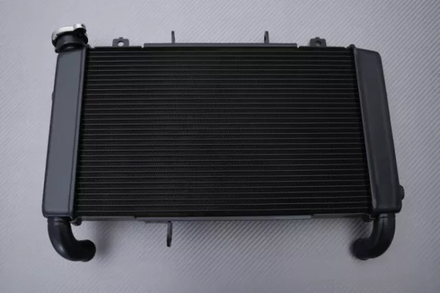 Radiateur d Eau Type Origine en Aluminium HONDA CB650R CB 650 R 2024-X