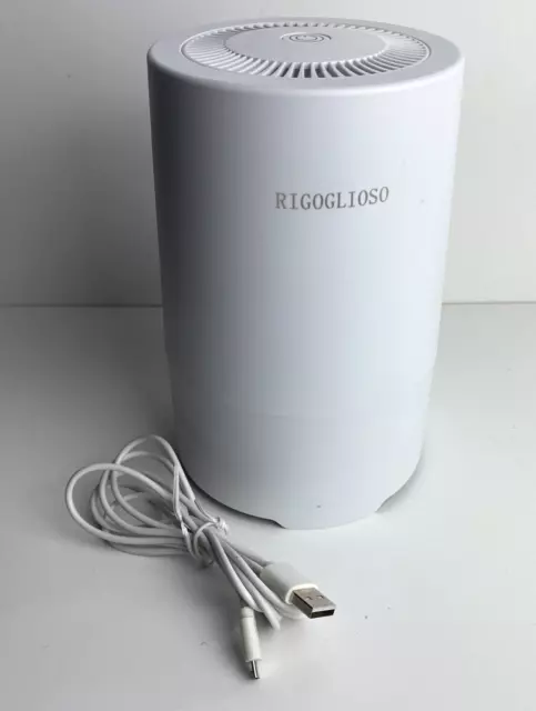 Rigoglioso SY900S Portable USB Hepa air purifier air filter