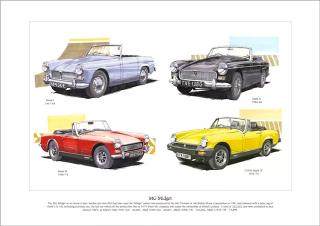 MG MIDGET  Fine Art Print - MkI, MkII, MkIII & MkIV Sportscar Models Illustrated