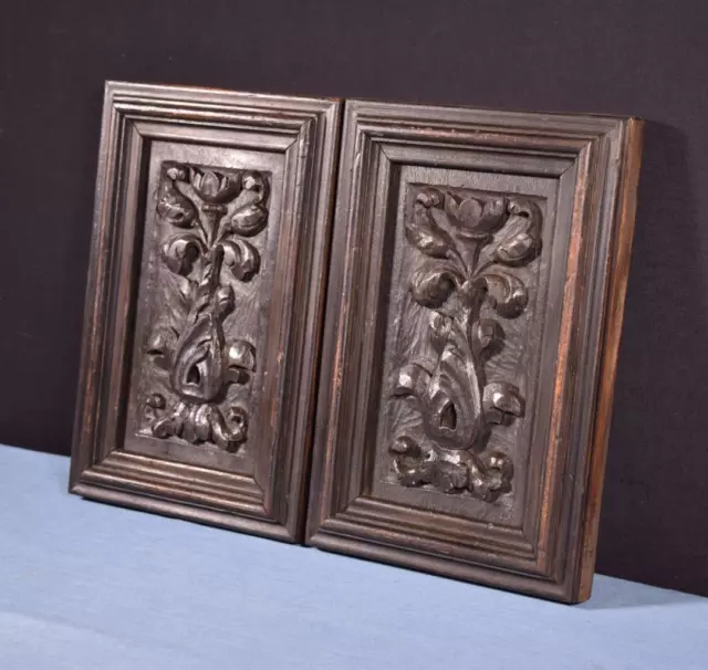 *Pair of Antique French Highly Carved Panels in Oak Wood Salvage w/Pine Frame