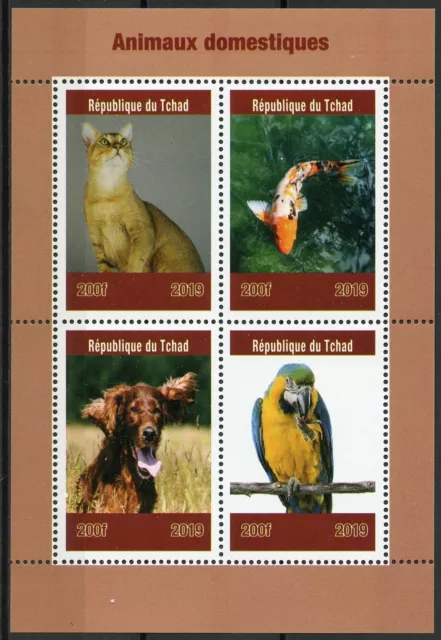 Chad 2019 MNH Domestic Animals Pets Cats Dogs Fish Parrots 4v M/S Stamps