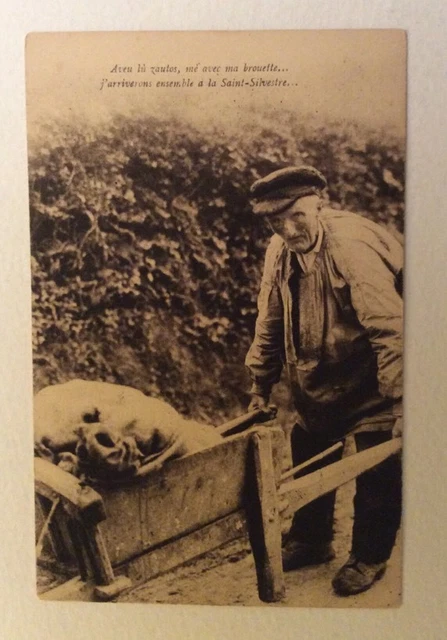 CPA ou CPSM. LA NORMANDIE PITTORESQUE. 4776. Zautos. Brouette. Saint Sylvestre.