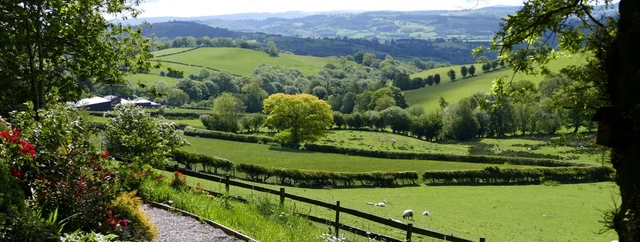Late Deals - 5* Cyfie Farm, Barley Cottage, Sleeps 2, Pet friendly, Hot Tub