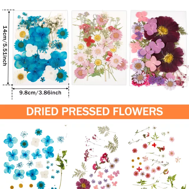 104Pcs Pressed Dried Flowers Set Real Natural Pressing Floral Leaves DIY GoQLG