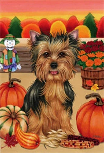 Autumn (TP) House Flag - Yorkshire Terrier Yorkie Pup 67010