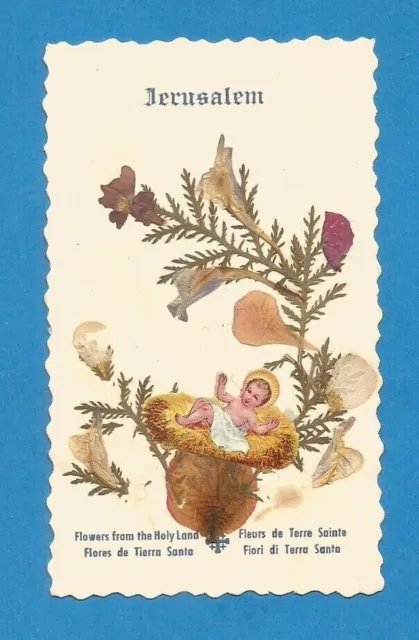 Holy Card Relic Dry Flowers From Holy Land Jerusalem Manger  Av17