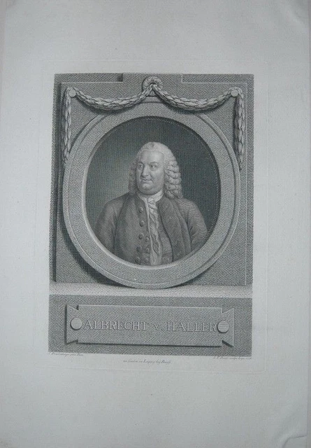 Portrait. Brustfigur en face in Oval. Kupferstich von Johann Friedrich Bause nac