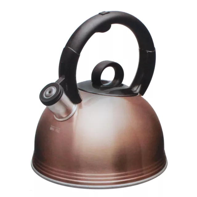Stainless Steel Whistling Kettle 4.22qt/4l Hot Water Tea Stovetop
