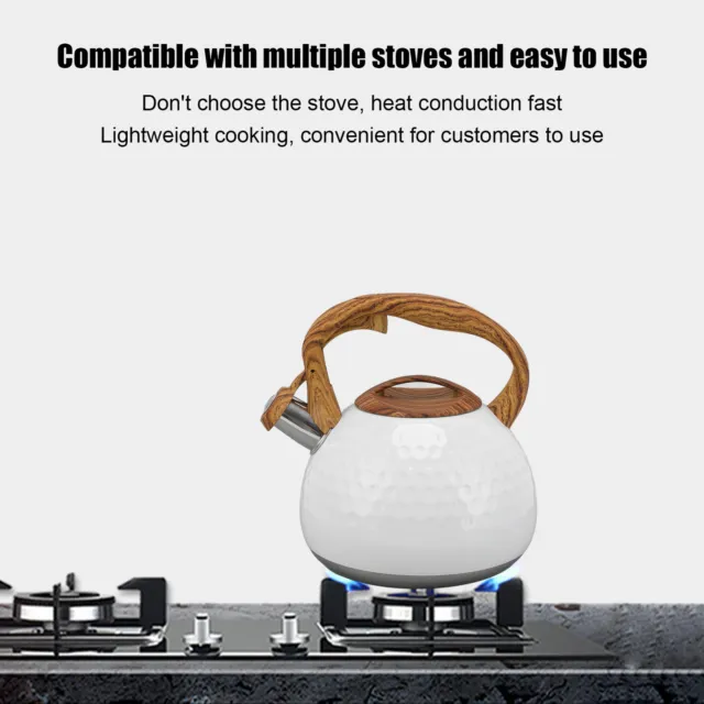 (Pure White)3L Tea Kettle Pure Metal Color Whistling Design Stainless Steel Tea